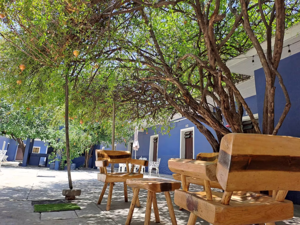 Casa Refugio Centro Histórico